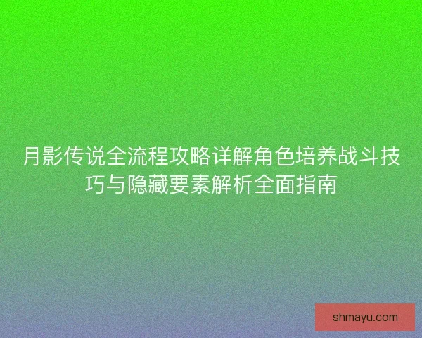 月影传说全流程攻略详解角色培养战斗技巧与隐藏要素解析全面指南